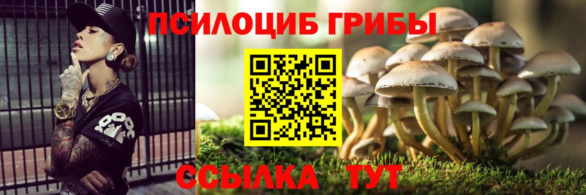 Псилоцибиновые грибы прущие грибы Симферополь